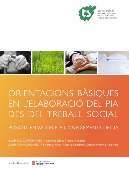 Orientacions Bàsiques en l´Elaboració del PIA des del Treball Social